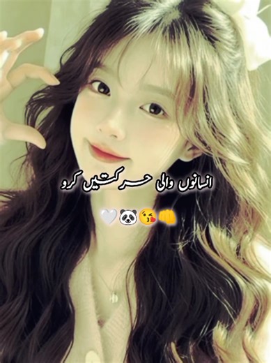 Creative Status Videos That Celebrate Friendship