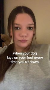 Why My Dog Lays on My Feet: A Funny Habit
