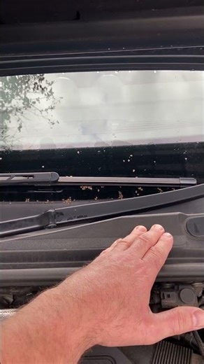 Common Water Leak #shorts #waterleak #a3 #a4 #a6 #water #plenum #audi #fiat #panda #fiat500 #heater