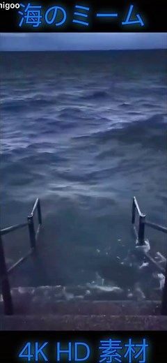 海の背景素材動画: フリー素材集
