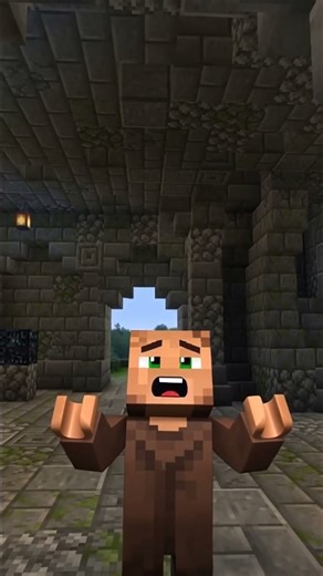 This villager is blocking my path in Minecraft