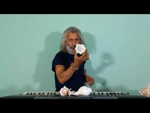 Panchjanya Conch - Bhagawan Sri Krishna's Conch-shell | Conch Sound| Conch Music | Biru Saraswati |