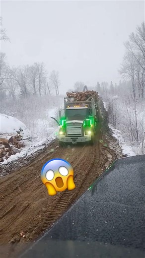 Like a boss🔥🔥#usatruckers #trucking #trucker #bigrig #truckdriver #usatruckers #fyp