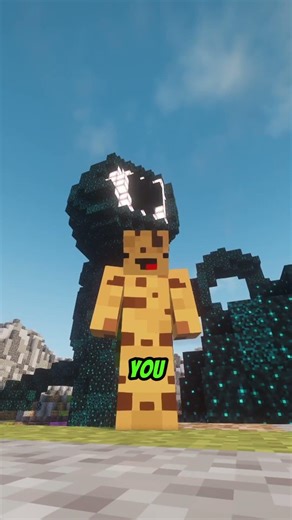 DecimalSMP Promo Team Applications Are Open! #minecraft #smp