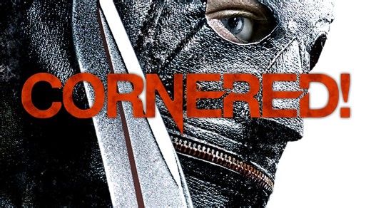 Cornered! (2009)