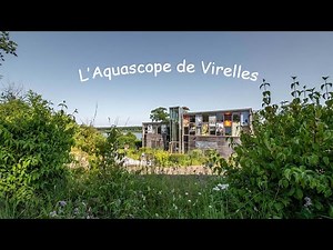 L'Aquascope de Virelles #travellersfrombelgium