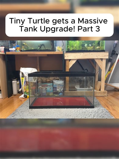 Tiny Turtle's Massive Tank Upgrade