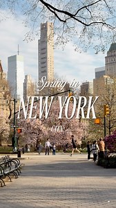 this is your reminder that spring is just TWO weeks away and a little over a month until the city starts to look like this… 🌞🌷🏙️🌳✨ shot on iphone 4k at 30fps upper west side & central park, manhattan spring in new york #ethanbarberco #newyorkcity #summerinnewyork #springinnewyork #lifeinmanhattan #nycgo #newyorker #newyorkphotographer #nostalgia #00s #2000s #iloveny #nycbucketlist | Ethan Barber