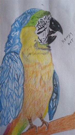 how to draw a bird preview step by step #drawing #foryou #art