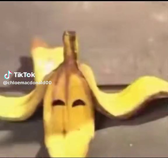 Girl Laughing in the Mirror - Funny and Heartwarming Moment