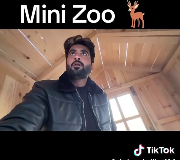 Discover the Mini Zoo Experience