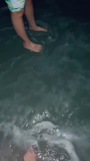 Ever get so starstruck you forget your pick up line...? 😅 #pickupline #fail #couplegoals #funny | HaileeandKendra