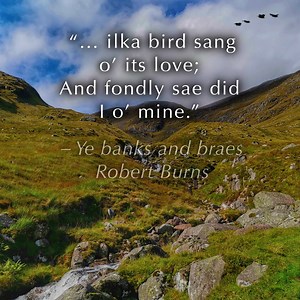 Sláinte Mhath! Tonight we raise a dram to Scotland’s own ‘National Bard’ Robert Burns, and celebrate with William Wallace’s beautiful setting of one of the poet’s most famous works, ‘Ye Banks and Braes’. Music excerpt performed by Richard Bonynge and Rosemary Tuck: https://Naxos.lnk.to/8572775FA #MusicSpeaks | Naxos | Facebook