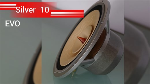 Lii Audio Silver 10 Evo-1