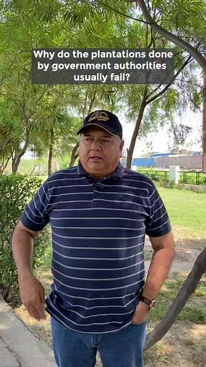 The reason why most of the tree plantations done by governments fail. #trees #treeplantation #afforestation | Peepal Baba