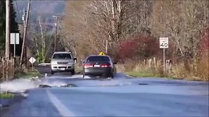 Unusual road sign says “Drive Slowly, Fish Crossing”- speed limit 40, Skokomish River, Shelton, Washington. Each year when the river floods the salmon take shortcuts swimming across the road to go upstream to spawn. | Imagina