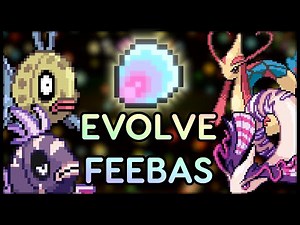 How to Evolve AEVIAN and Regular Feebas in Pokemon Rejuvenation V13