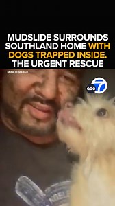 232K views · 5.2K reactions | As heavy rains pounded the Southland Thursday, a mudslide quickly surrounds a Highland home with several dogs inside. Neighbors rush to the rescue, trying to get the dogs out of the house as the owners are away. But the thick mud hampers their efforts. Eyewitness News is live with how the precious pups are finally saved. Tonight at 11 from ABC7. https://abc7.la/3QjHxhC | ABC7 | Facebook