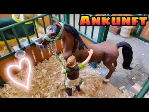 Neues Pferd 😍 Amigo #1