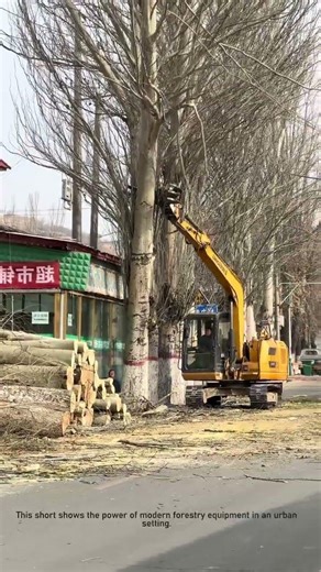 Tree Removal ASMR: Giant Machine vs Street Tree