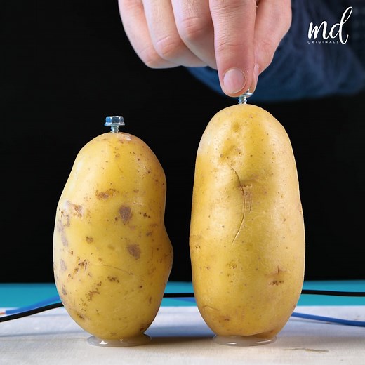 380K views · 1.1K reactions | How to make a potato light bulb? 凜 | Lilyon DIY | Facebook