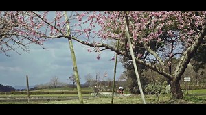 A pure road bike. Light, smooth, and ultra fast. Introducing the all-new SuperSix EVO.​ #SuperSixEvo | Cannondale