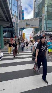 A Walk Through Japan 🚶🇯🇵