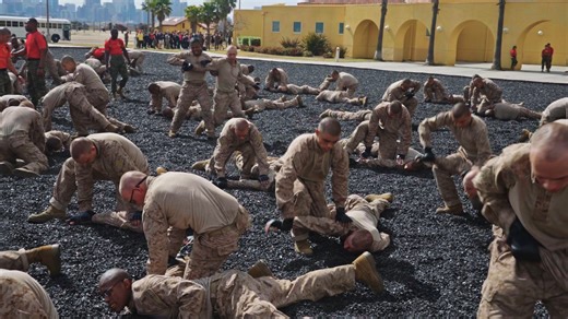 MCRD Recruit Training Bravo Mcmap Traininig #jul112025bravo Shop Here - https://dub.sh/ult-video The Ultimate Package has both videos of your company's training plus the photo USB/Download. Order today and you get access to the customer group where we'll post hundreds more photos by graduation! Order USMC Coins, Gifts & Apparel here – https://dub.sh/gifts-reel #military #mcrdsandiego #jrotc #marines #bootcamp #futuremarine #usmcvet #usmcbootcamp #MCRD | Recruit Training Photography