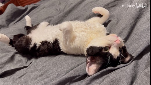 【Mio的游戏杂谈】11月前瞻 10月回顾 2025