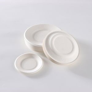 [Hot Item] Environmentally Friendly Bagasse Biodegradable Food Tray