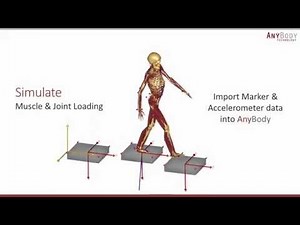 Human simulation in AnyBody: Overview of MoCap features