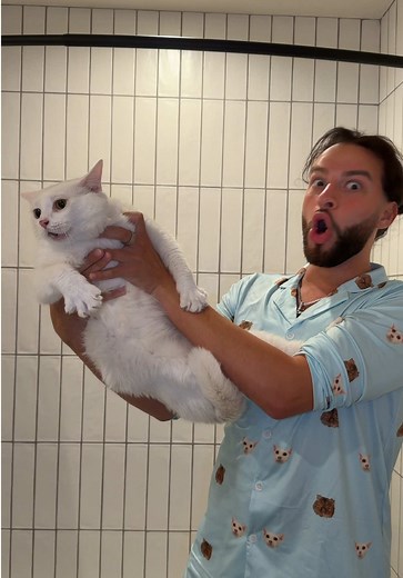 Cat Bath Time Beef: Theodore vs. Theodore