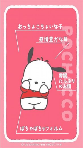 ポチャッコのことどのくらい知ってる〜？#自己紹介 #ポチャッコ #サンリオ #sanrio #selfintroduction
