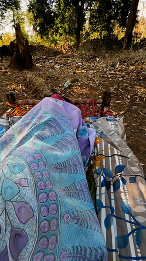 Green Tree Snake Rescue 🐍🇮🇳🌹❤️. Please follow me. #highlightseveryone #viralreels | Mobarak Snakesaver