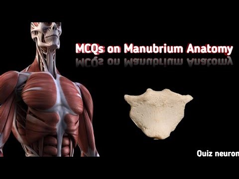 Manubrium Bone MCQs Practice in 2 Minutes 