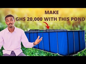 YOU Can Make From CATFISH Farming in 6 MONTHS