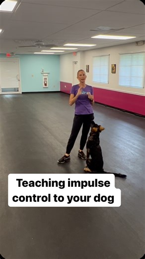 66 reactions | Teaching impulse control to your dog #dogsofinstagram #dogoftheday #puppiesofinstagram #dogtrainingadvice y | Lucky Dog Training Club | Facebook