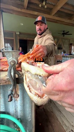 How To Cook Louisiana Alligator | Louisiana Crawfish Company #alligator #rotisserie #barbecue