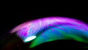 Seven Great Macro Photography Ideas to Shoot at Home