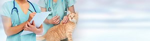 Veterinary Technician |