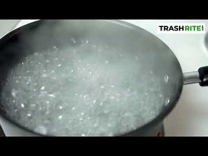 How to Kill Maggots Effective Methods for Eliminating Infestations