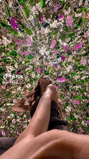 Mesmerizing Views at teamLab Planets, Tokyo