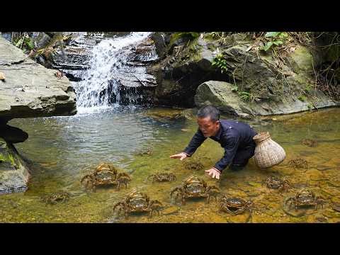 Dwarf Family Hunting Wild Crabs by Waterfall | Primitive Survival Skills