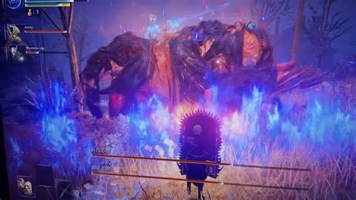 只需略施小计，便可捕获两只恶魔当宠物