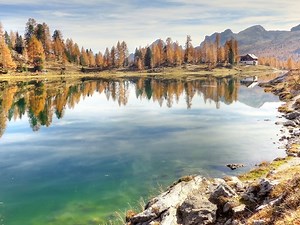 Cherry TV Live Stream