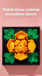 LEGO on Instagram: "Soothing sounds and small succulents. 🌸 🎶🌵 #LEGO #ASMR"