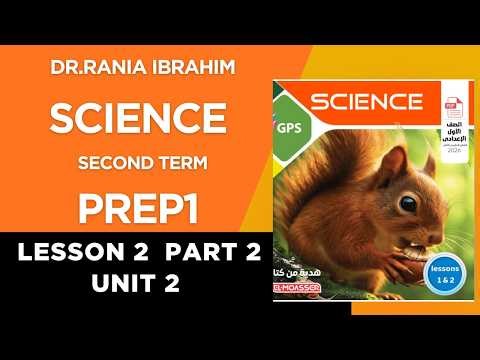 PREP 1 Lesson 2 part 2 Unit 2 شرح الدرس الثانى الجزء الثانى الوحدة التانية سنة اولى اعدادى الترم2