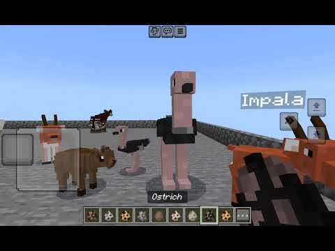 Minecraft African animals addon showcase