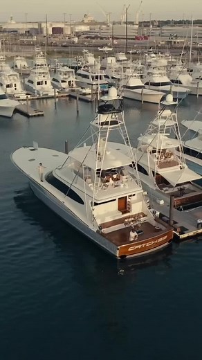 Michael Jordan’s new 82’ Bayliss with its signature elephant print wrap is ready for the Big Rock Tournament! Basketball’s biggest star meets the oceans toughest fish! 📸cjh0lbrook #viral #fyp #sportfish #fishing #boats #yacht #dailysportfish