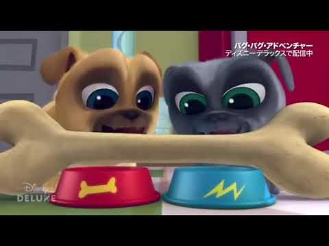 子犬の友達|日本語でオープニング